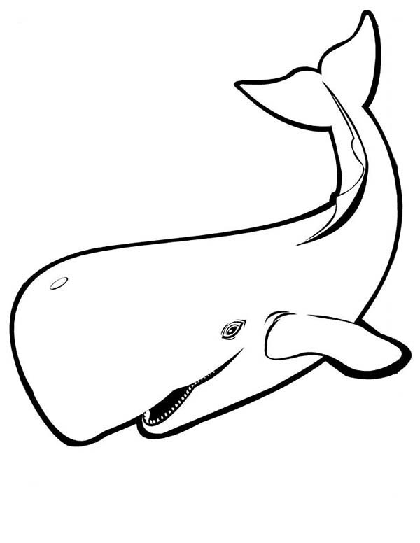 endangered whales and coloring pages - photo #26