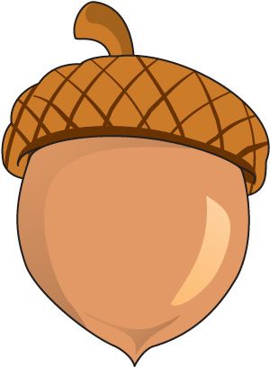 Clipart images of acorn