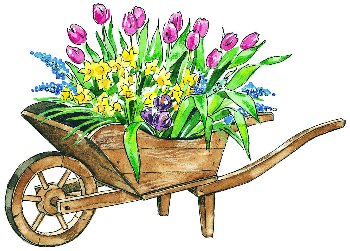 Flower Garden Free Clipart