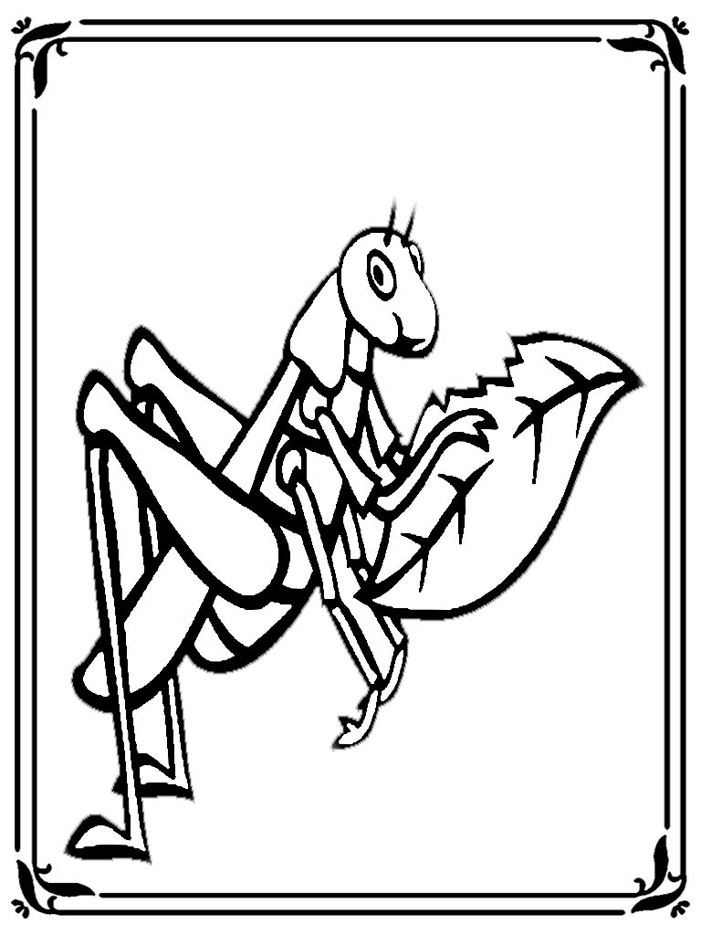 Printable Locust Coloring Pages | Realistic Coloring Pages