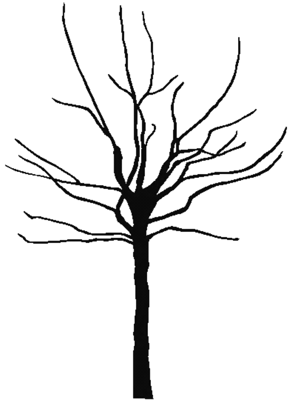 Bare tree clipart black and white png