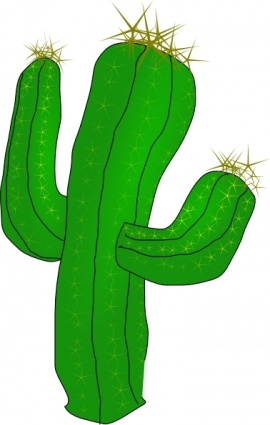 Cactus clipart free