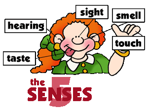 The 5 Senses - Clipart for Kids and Teachers