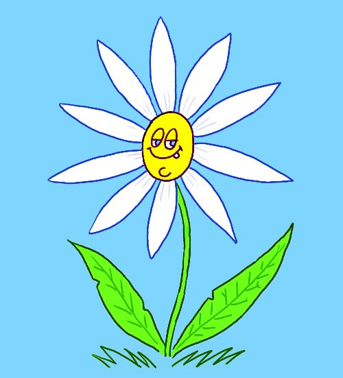 How to Draw a Flower Cartoon.