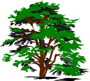 simple vector tree - vector Clip Art