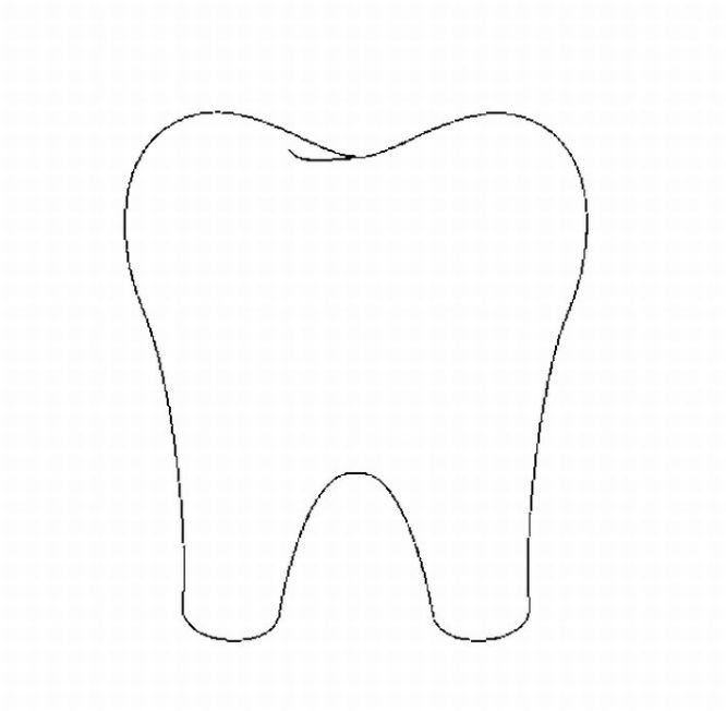 tooth outline clip art - photo #29
