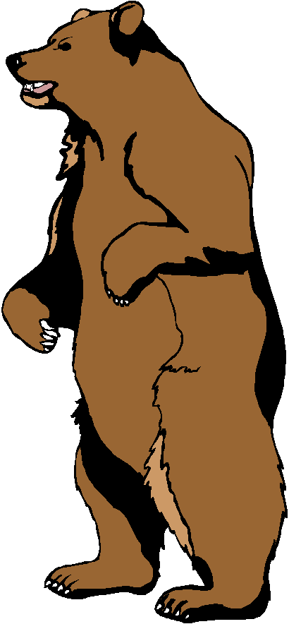 Grizzly bear standing clipart