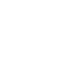 White star icon - Free white star icons
