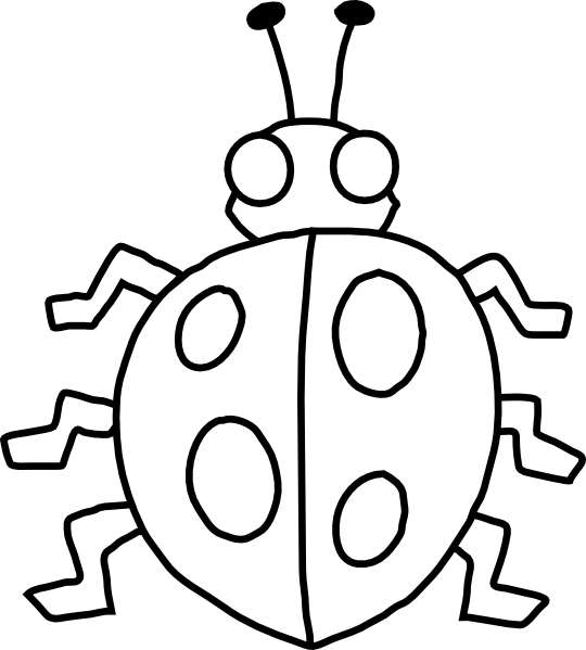 Insects clipart black and white