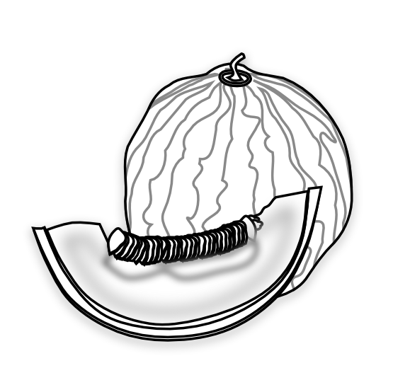 Honeydew Melon Drawing ClipArt Best