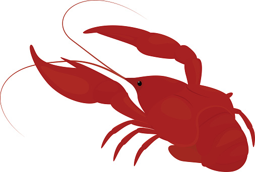 Cartoon Of The Crawfish Art Clip Art, Vector Images ...