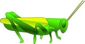 Cartoon Grasshopper Clip Art - vector clip art online ...