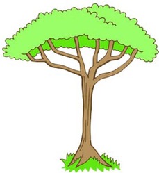 Jungle Tree Clipart