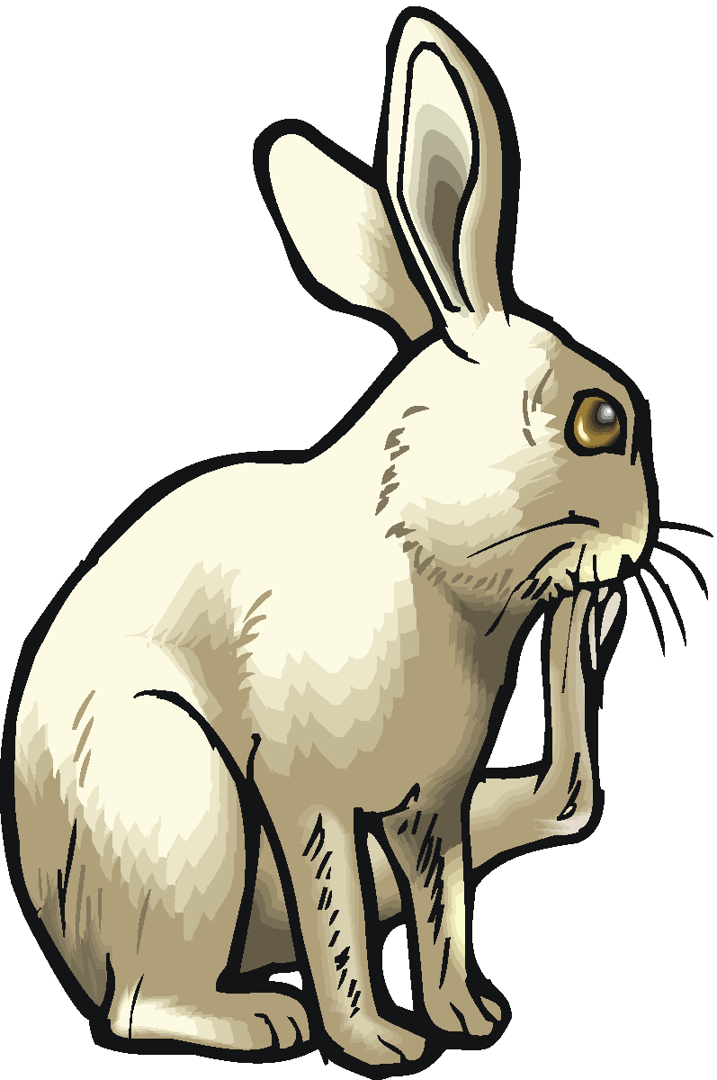 Rabbit clipart #RabbitClipart, Bunny Rabbit Clip Art animals photo ...