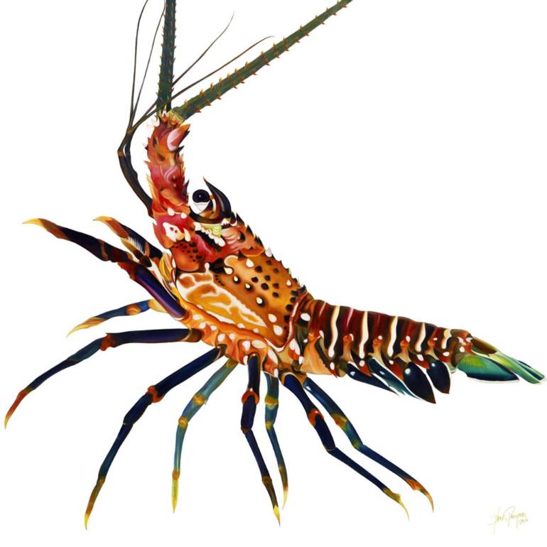 Saatchi Art: Florida Spiny Lobster Painting by Clark Prosperi