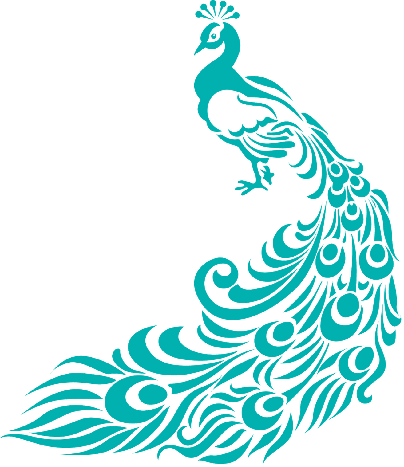 Simple Peacock Designs Clipart - Free to use Clip Art Resource