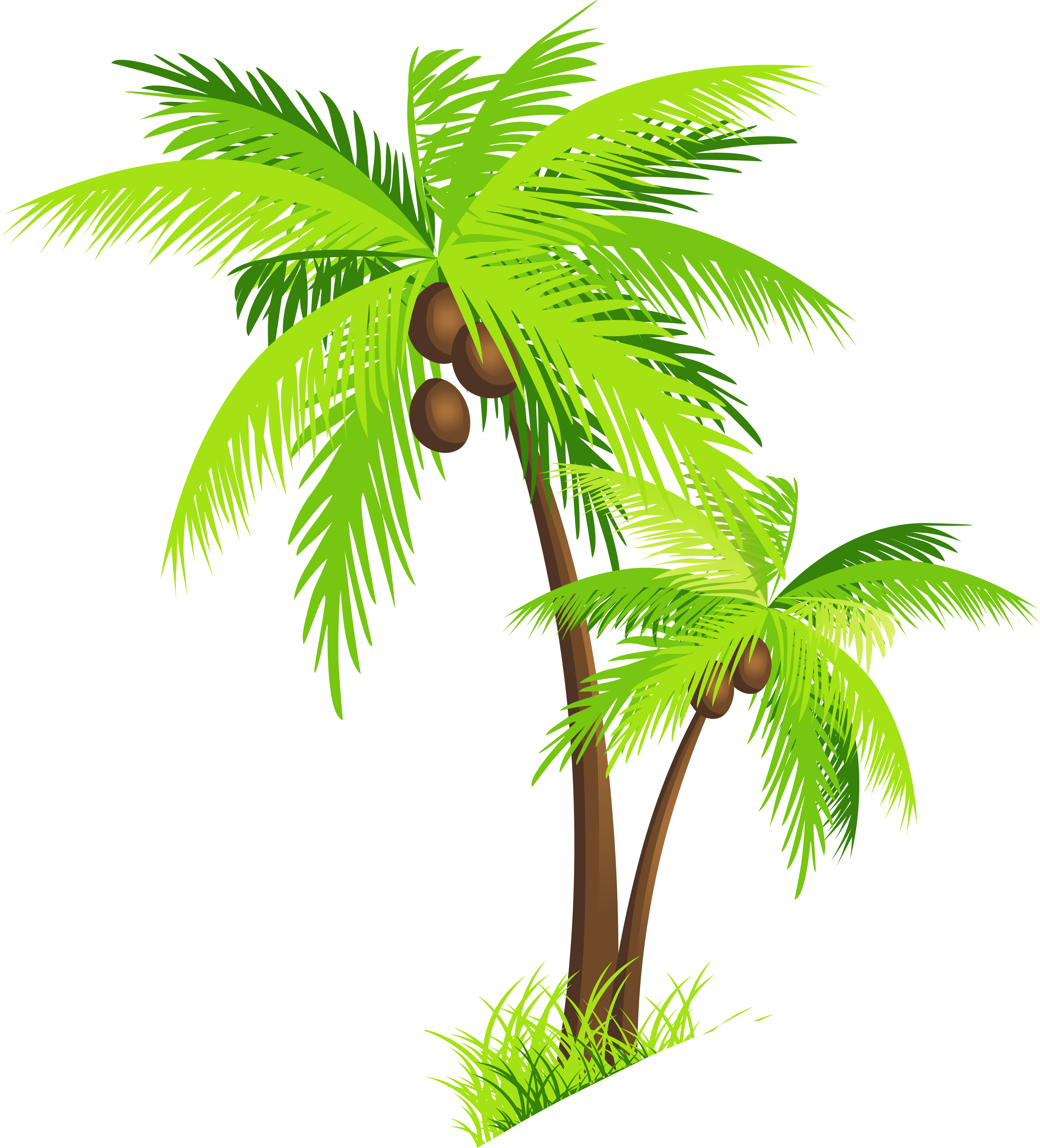 Palm Tree Vector Clipart - Free to use Clip Art Resource