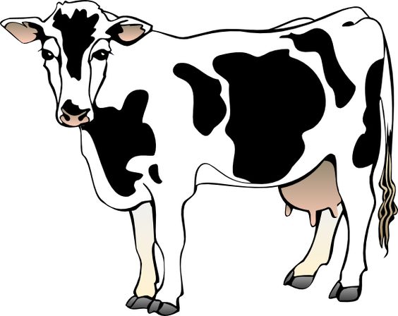 Cow, Clip art and Art
