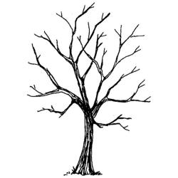 Simple Tree With Leaves Drawing 21556 | DFILES