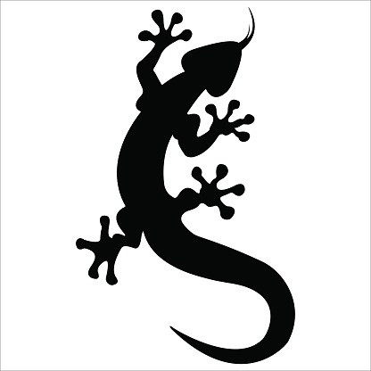 Salamander Clip Art, Vector Images & Illustrations