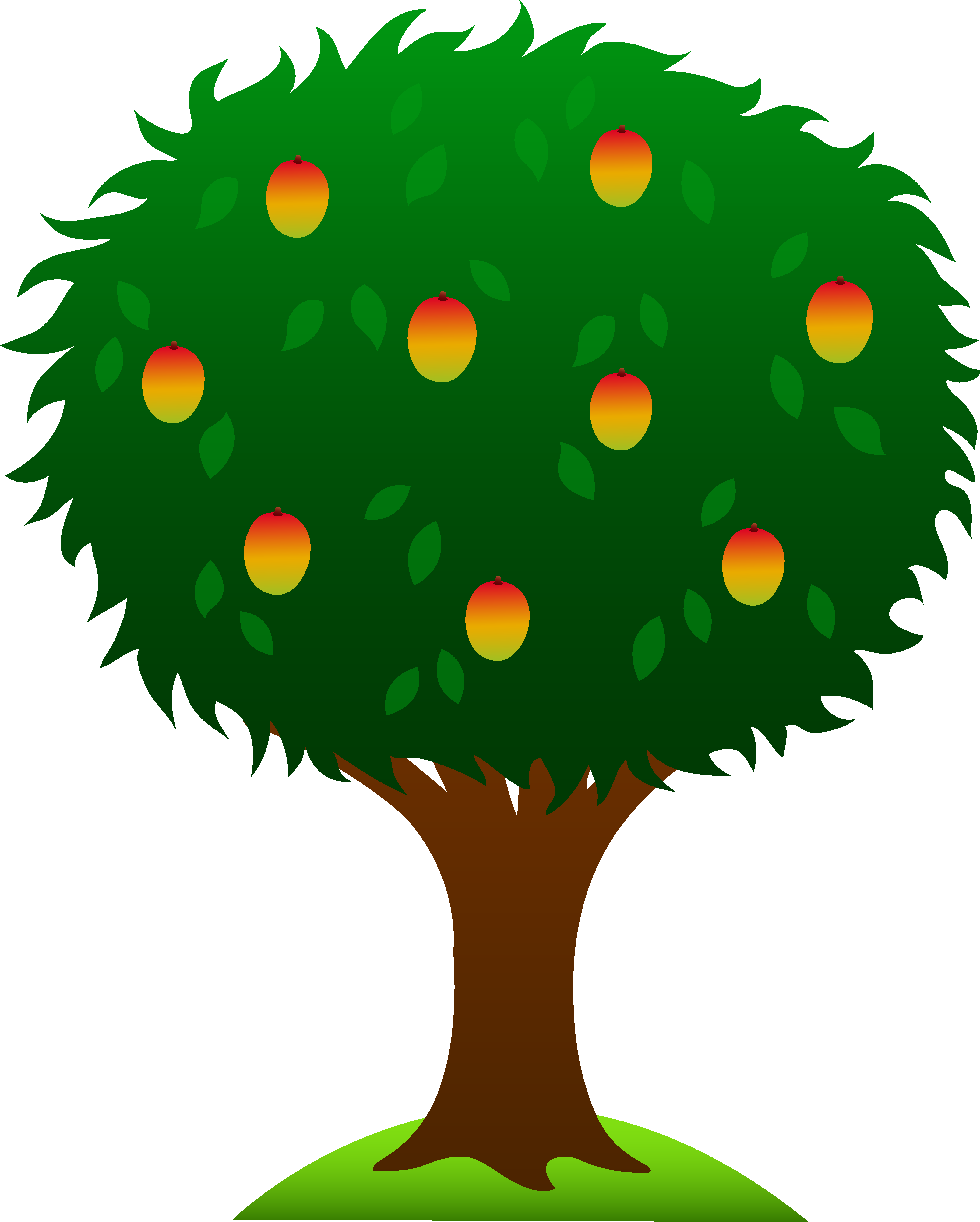 Clipart of mango tree