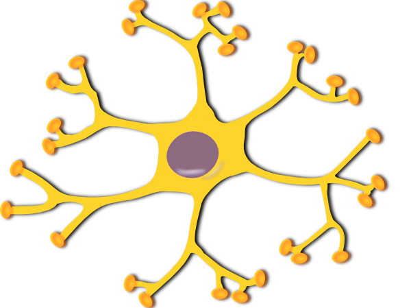 Neuron Interneuron clip art - vector clip art online, royalty free ...