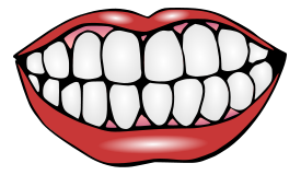 Download Free Smiling Tooth Vectors - VectorFreak.