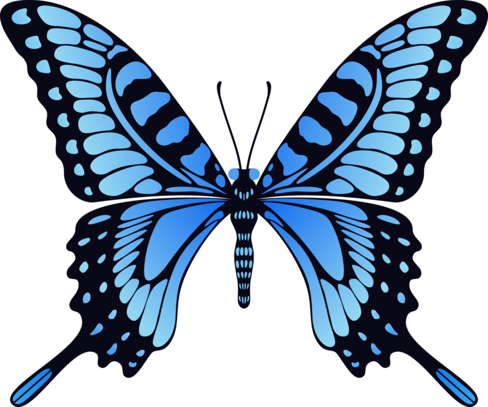 Download PNG image: Blue butterfly PNG image