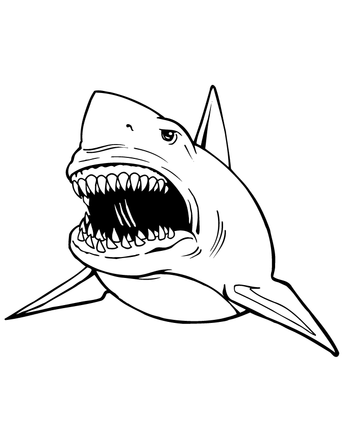 Great White Shark Coloring Page - AZ Coloring Pages
