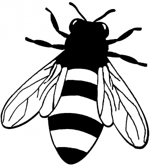 Best Photos of Honey Bee Outline - Honey Bee Black and White ...