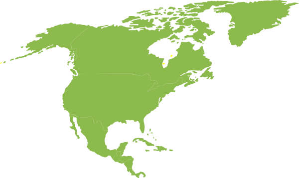 North America Continent Clipart