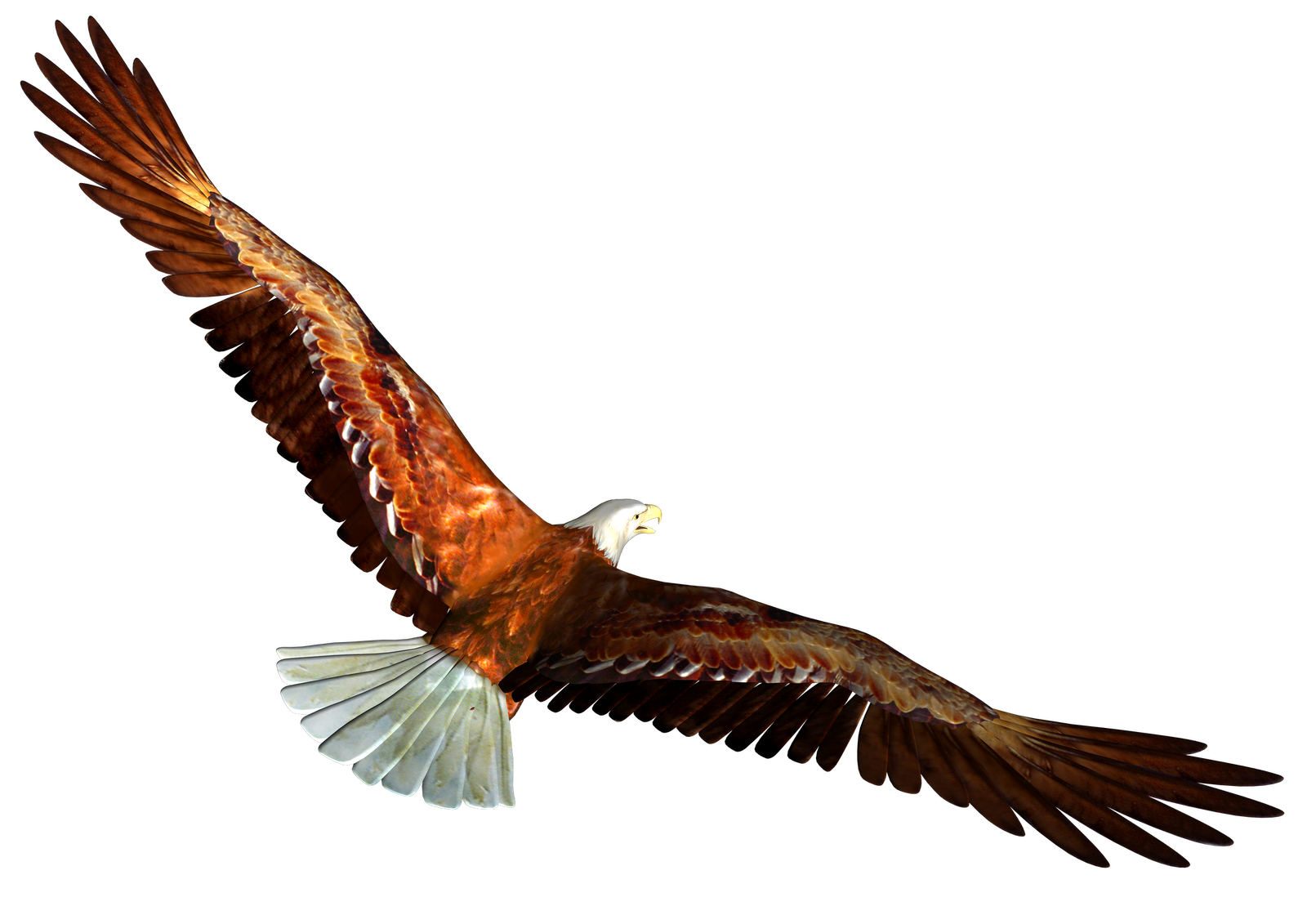 Soaring Eagle PNG Clipart | PNG Mart
