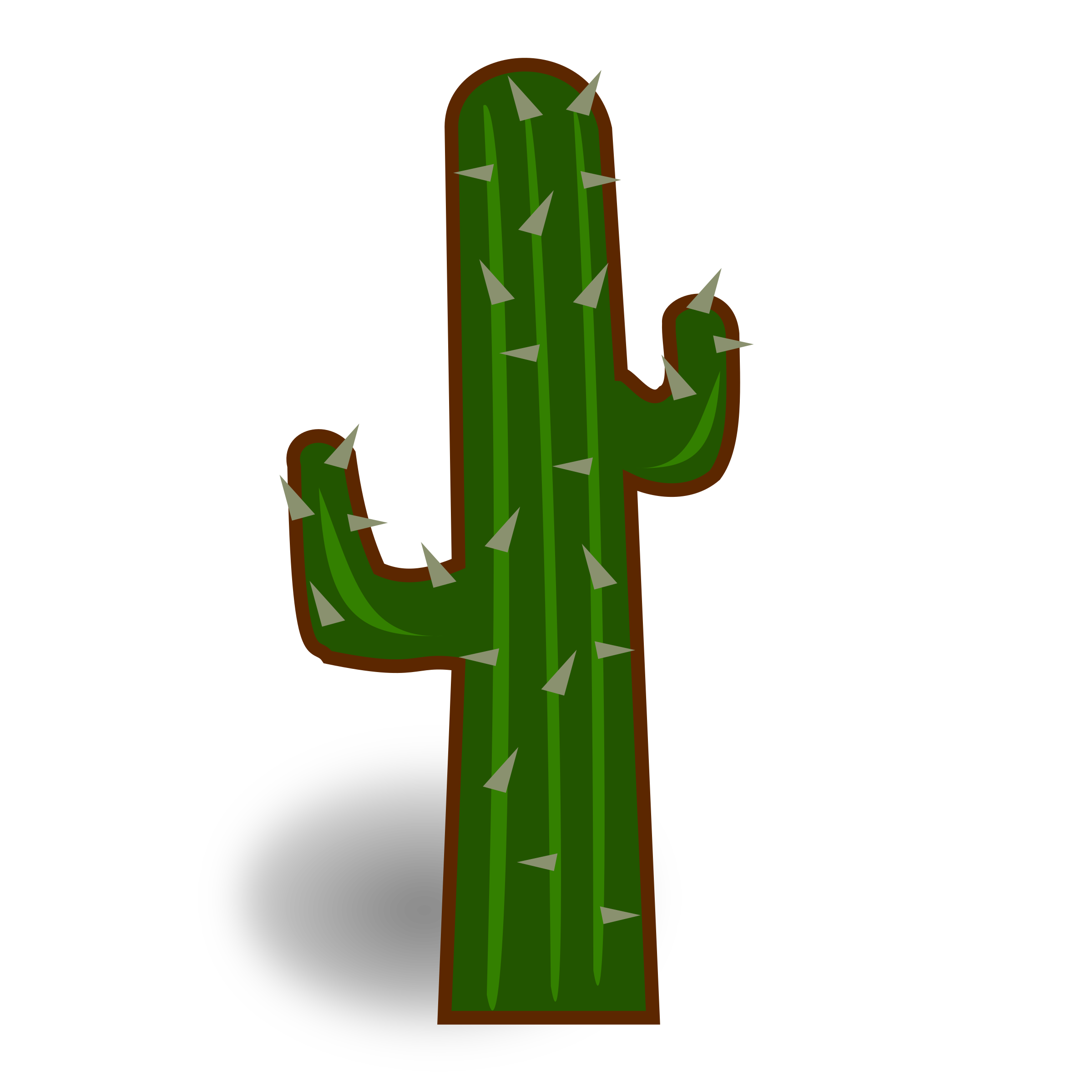Cactus clipart png