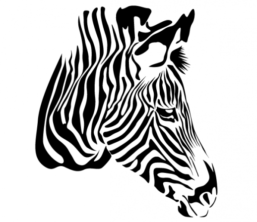 zebra head clipart - photo #7