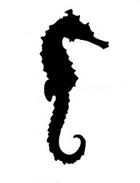 Seahorse Silhouette Png - ClipArt Best