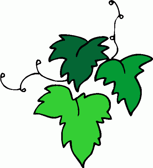 clip art grape leaf - photo #4