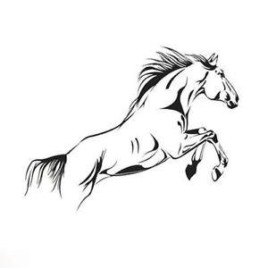 Horse Stickers | eBay