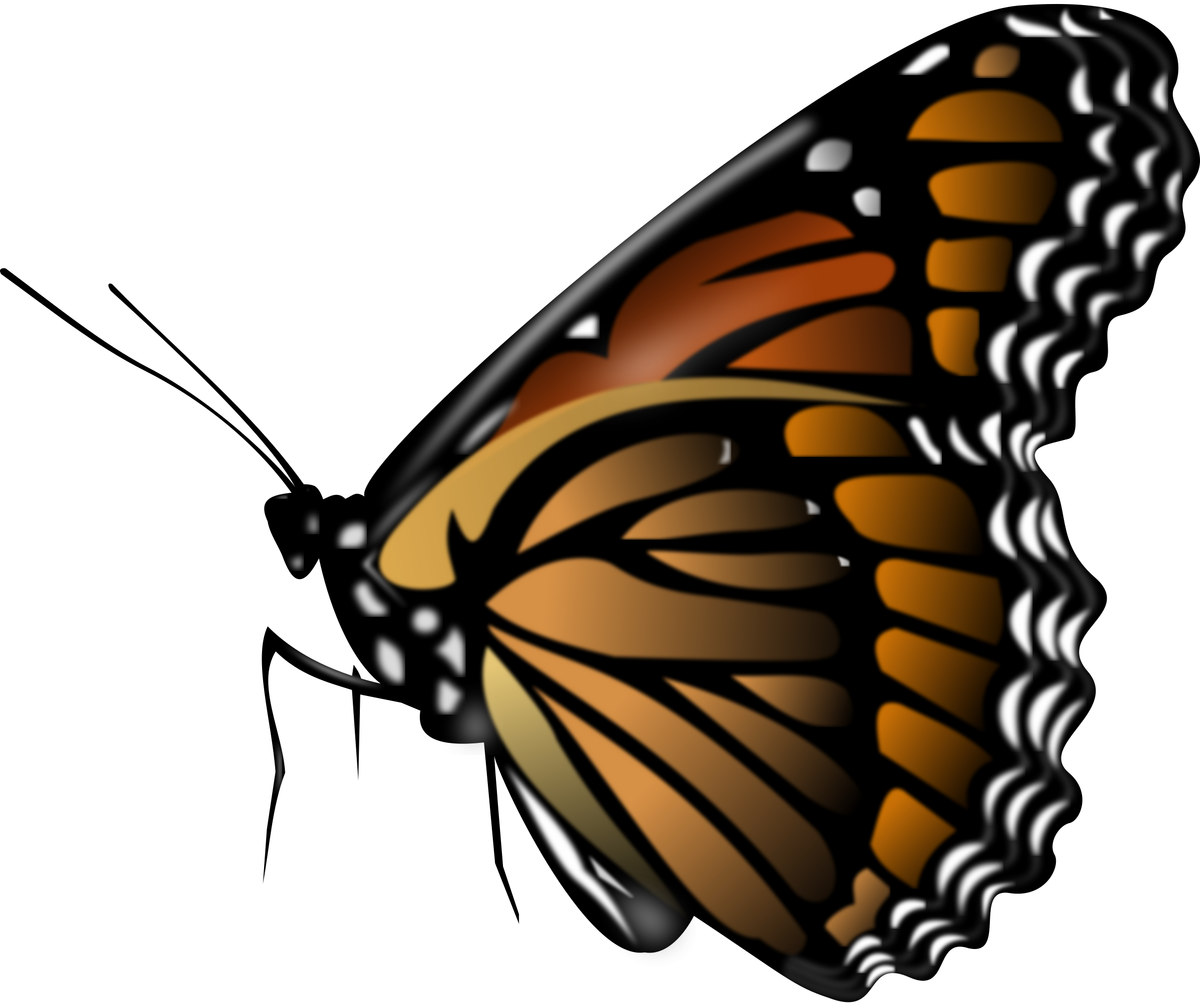 Flying Butterflies Png - ClipArt Best