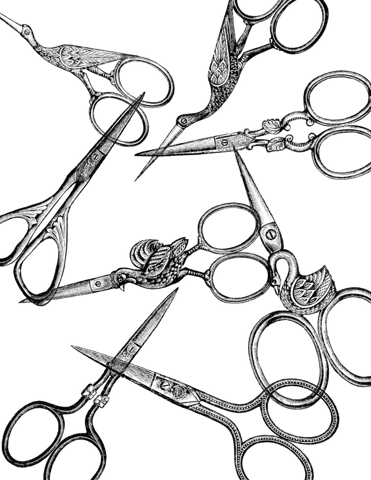 Vintage Scissors Clip Art PNG | PNG Mart