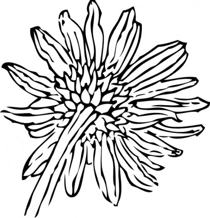 Back Of A Sunflower clip art Free vector in Open office drawing ...