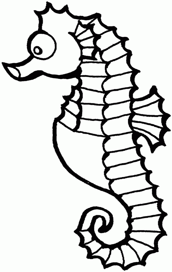 Seahorse Template Printable - ClipArt Best