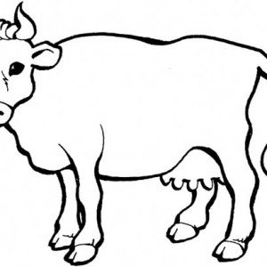 Indian Cow and Her Baby Cow Coloring Page | Kids Play Color - ClipArt