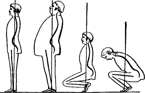 Line Art Body : Human body line drawing clipart best