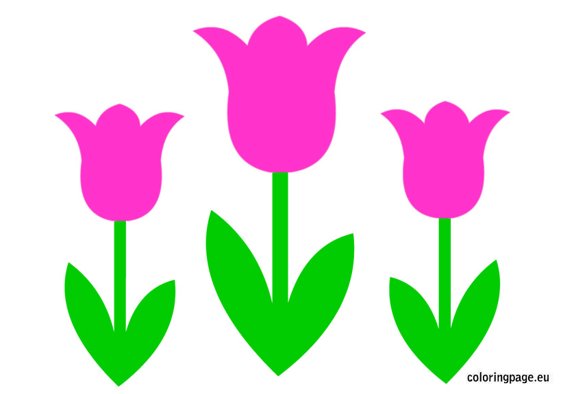 Tulips Flower | Coloring Page