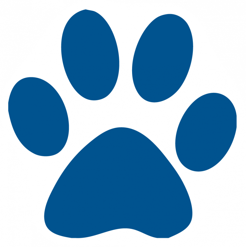 Blue Paw Print Logo 41710 | DFILES