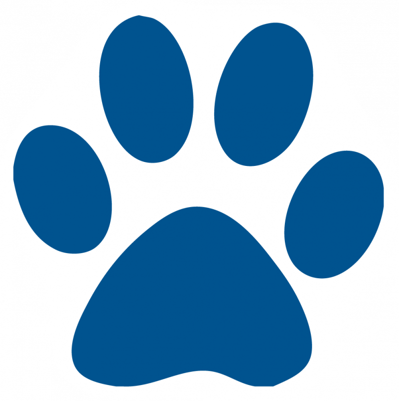 Paw Print Logo Name Paw Print Logo Name