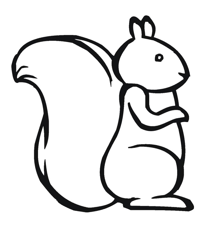 squirrel-templates-clipart-best