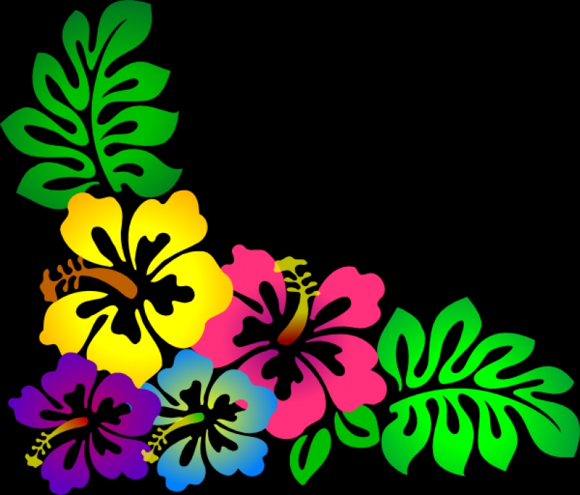 luau clip art borders free - photo #38