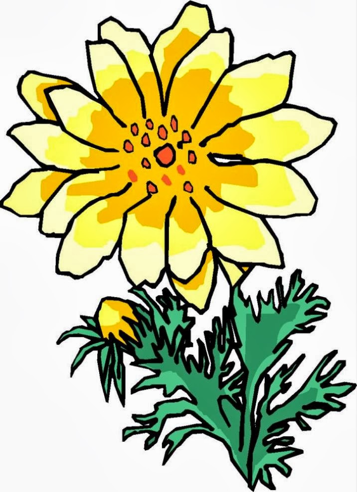 Aster Flower Drawing - ClipArt Best