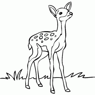 Coloring Pages Deer Ice Animals Deer Free Printable Coloring ...